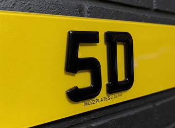5D