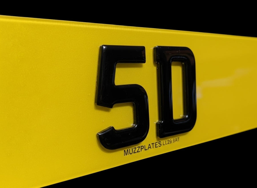 5D