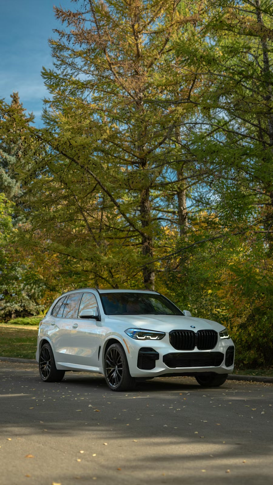BMW X5 Number Plates
