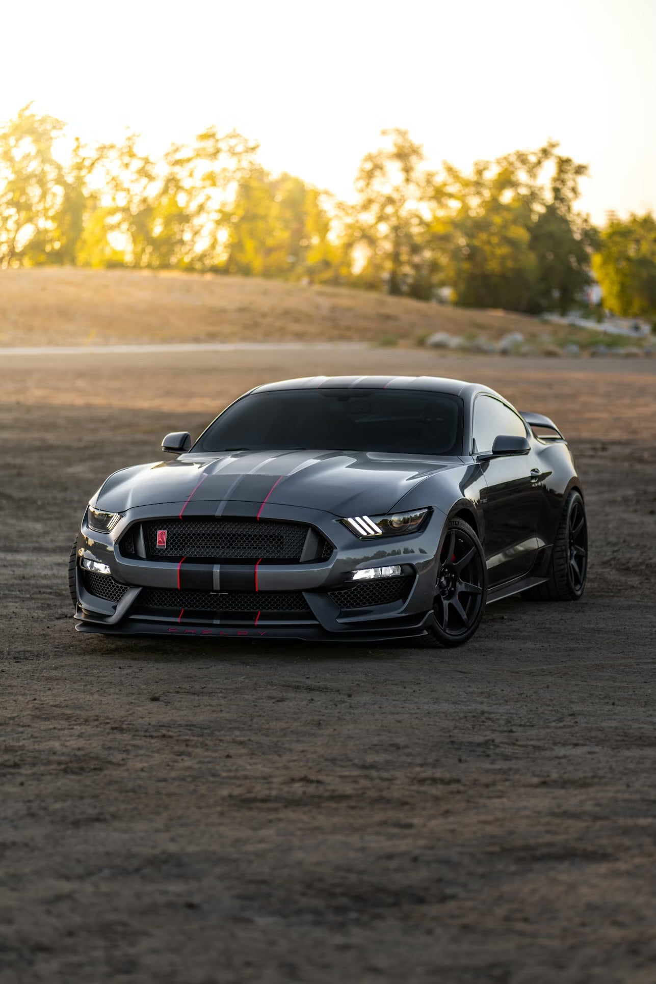 Ford Mustang Number Plates